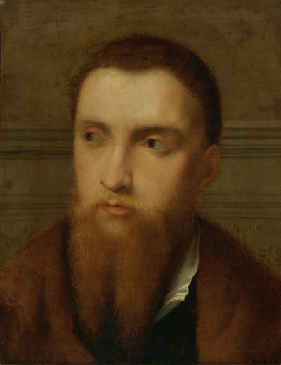 Portrait of a Bearded Man, Head and Shoulders, in an Interior by Paris Bordone